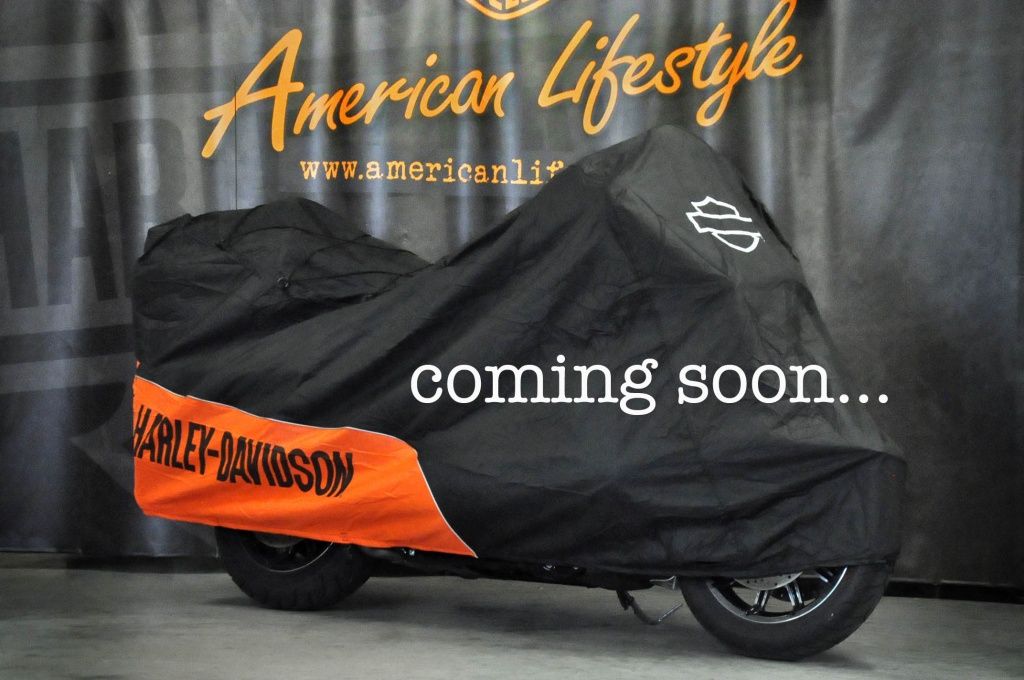  Touring Touring Road Glide Ultra CVO