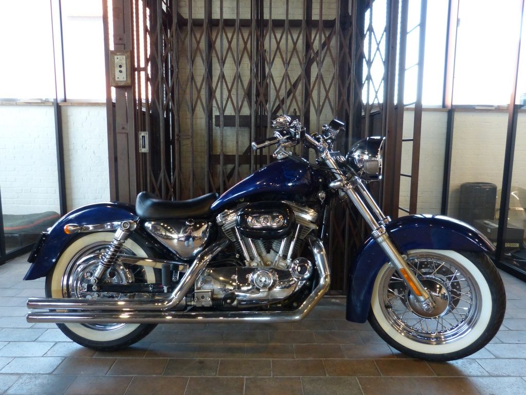  Sportster XL883