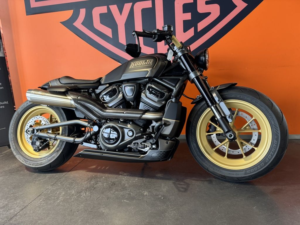  Cruiser Sportster S